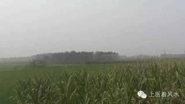 微信图片_20190730194246.jpg